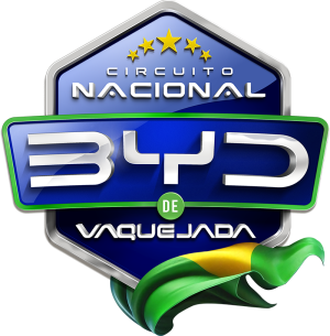 BYD-copy